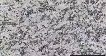 梅州 芙蓉白（芝麻白大花）火烧面
