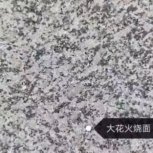 梅州 芙蓉白（芝麻白大花）火烧面