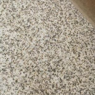 梅州 黄金麻中黄光面