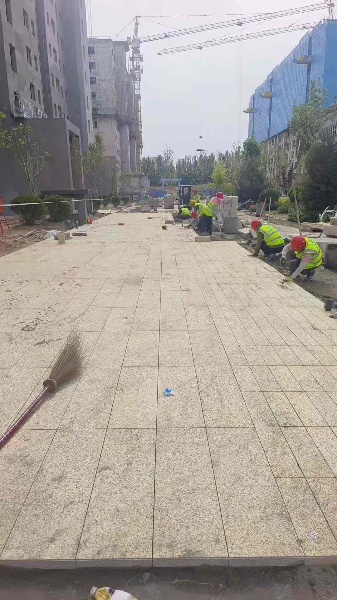 梅州黄金麻荔枝面地铺案例