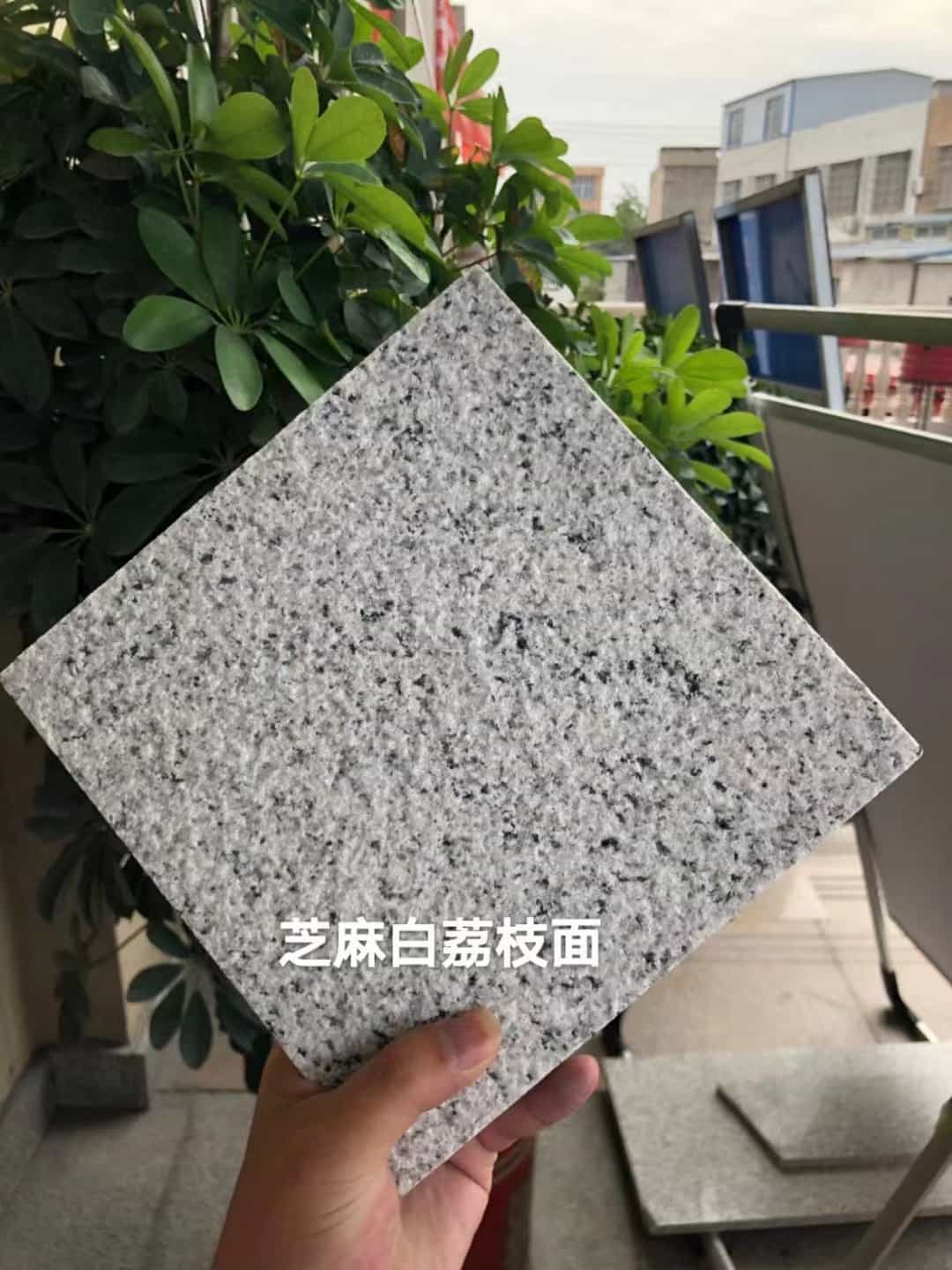 梅州 芝麻白荔枝面干挂