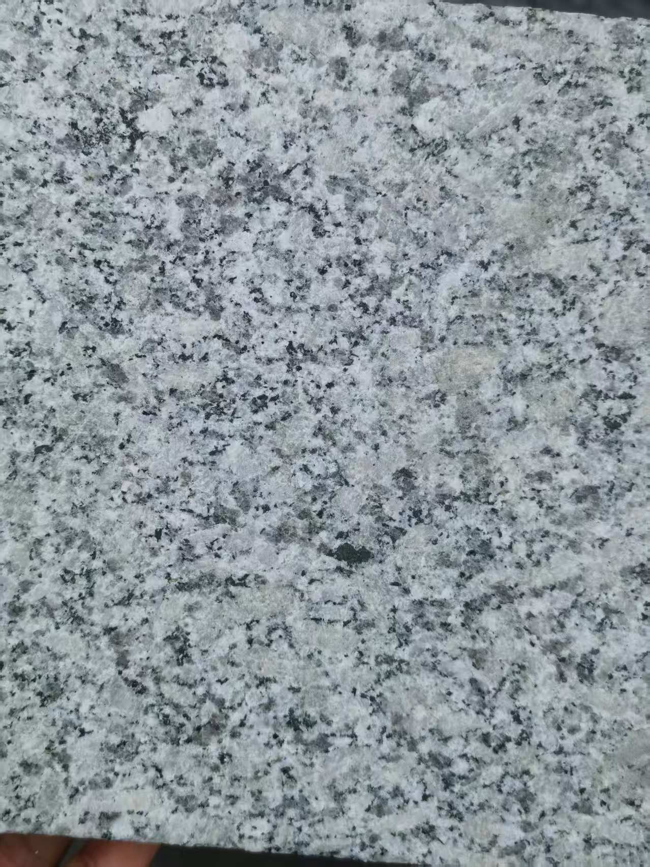 梅州 芙蓉白火烧面