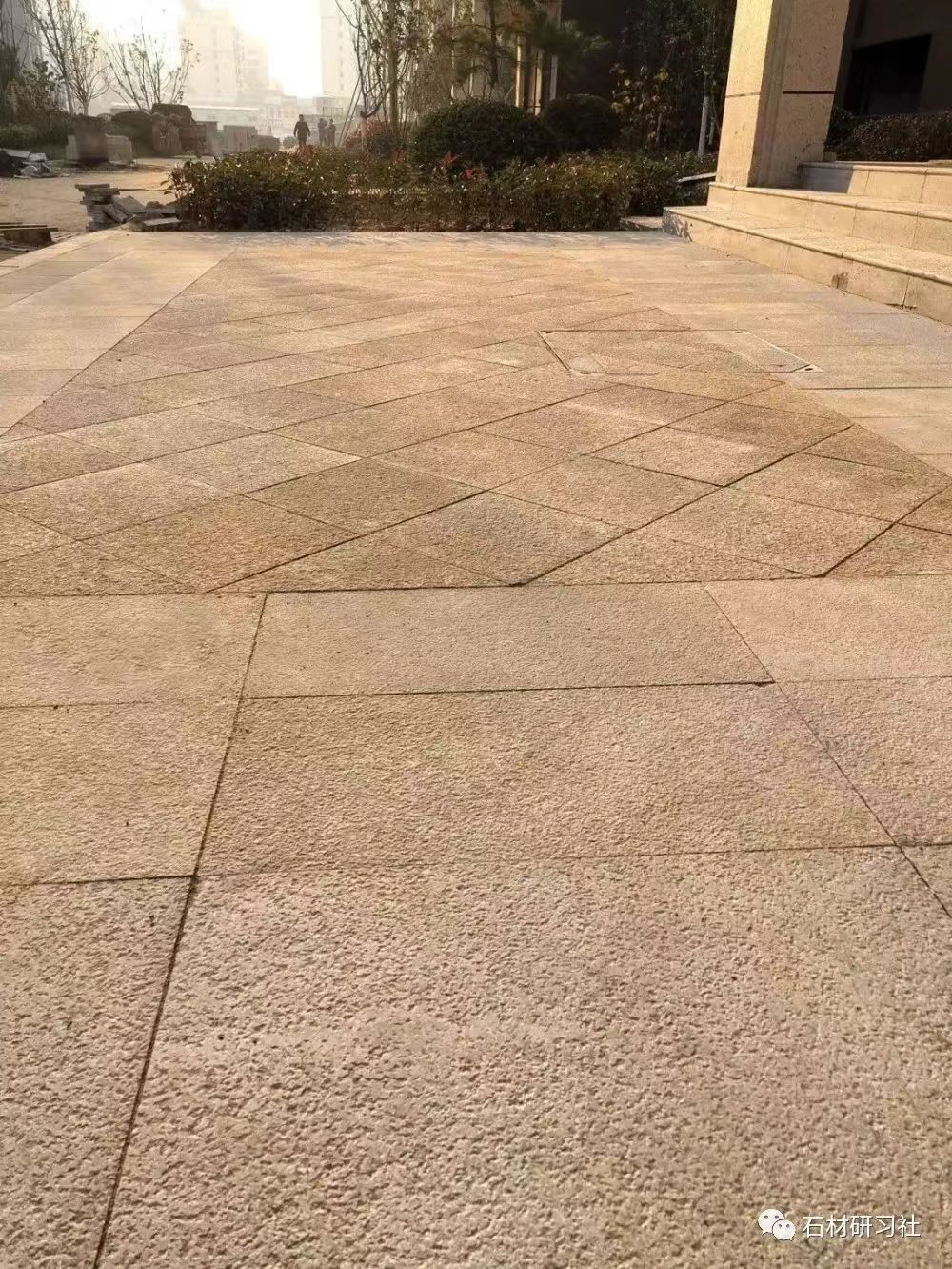 梅州黄金麻荔枝面铺贴